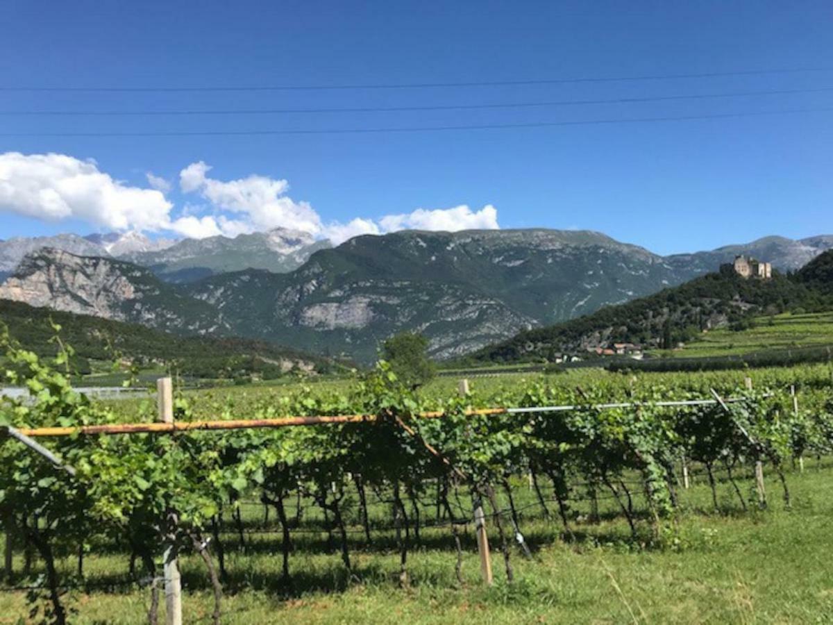 Appartamento Casa Al parco: mansarda, giardino, relax Calavino Esterno foto