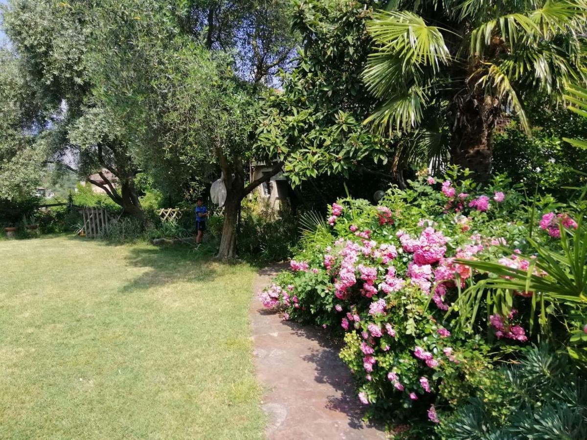 Appartamento Casa Al parco: mansarda, giardino, relax Calavino Esterno foto