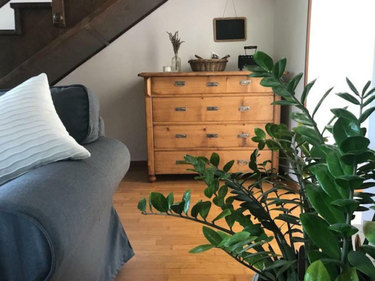 Appartamento Casa Al parco: mansarda, giardino, relax Calavino Esterno foto